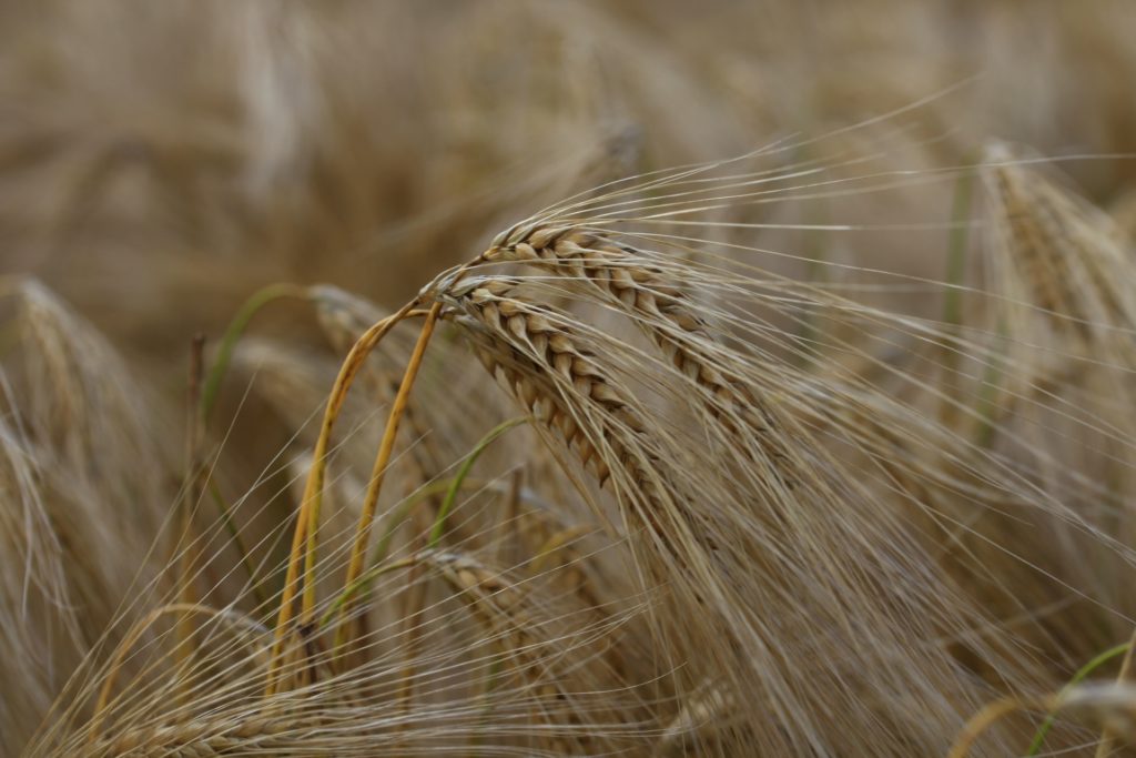 Продукты против простуды