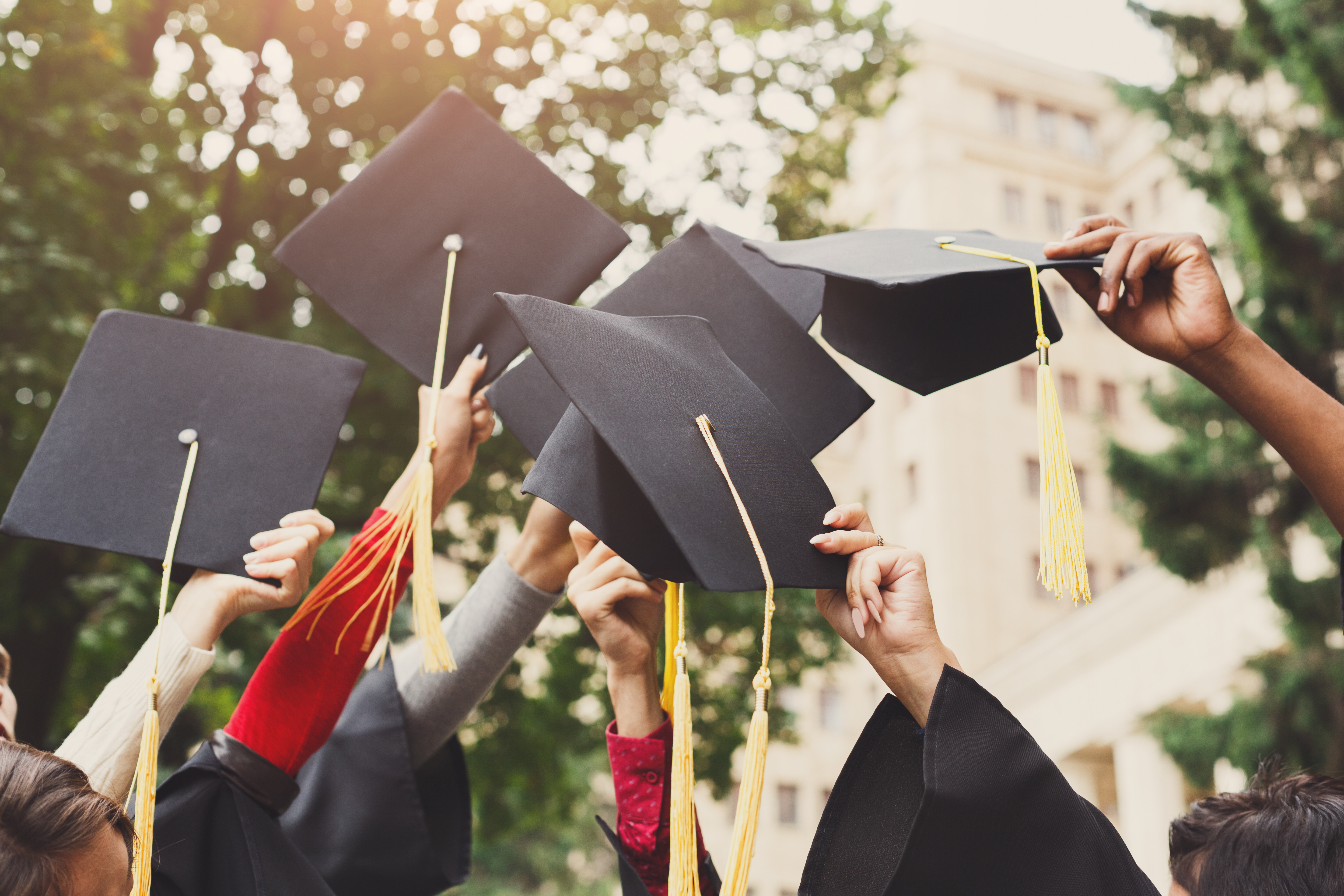 Как получить степень MBA