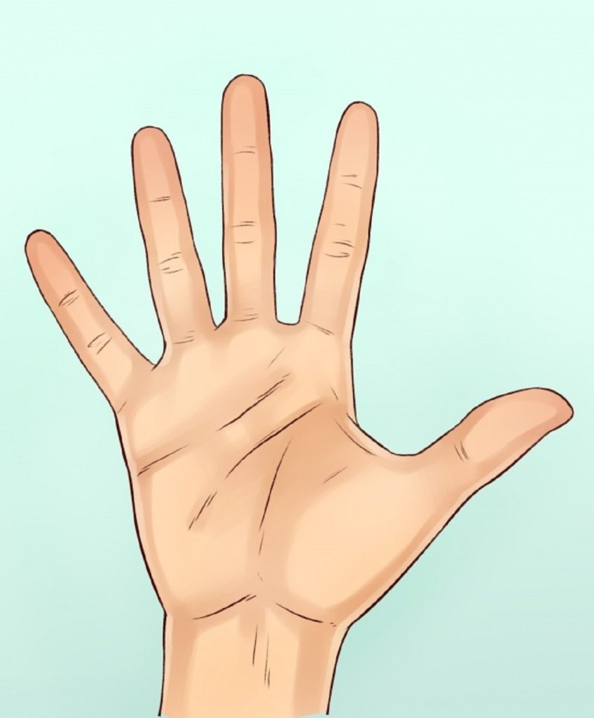 как узнать характер человека по форме ладони