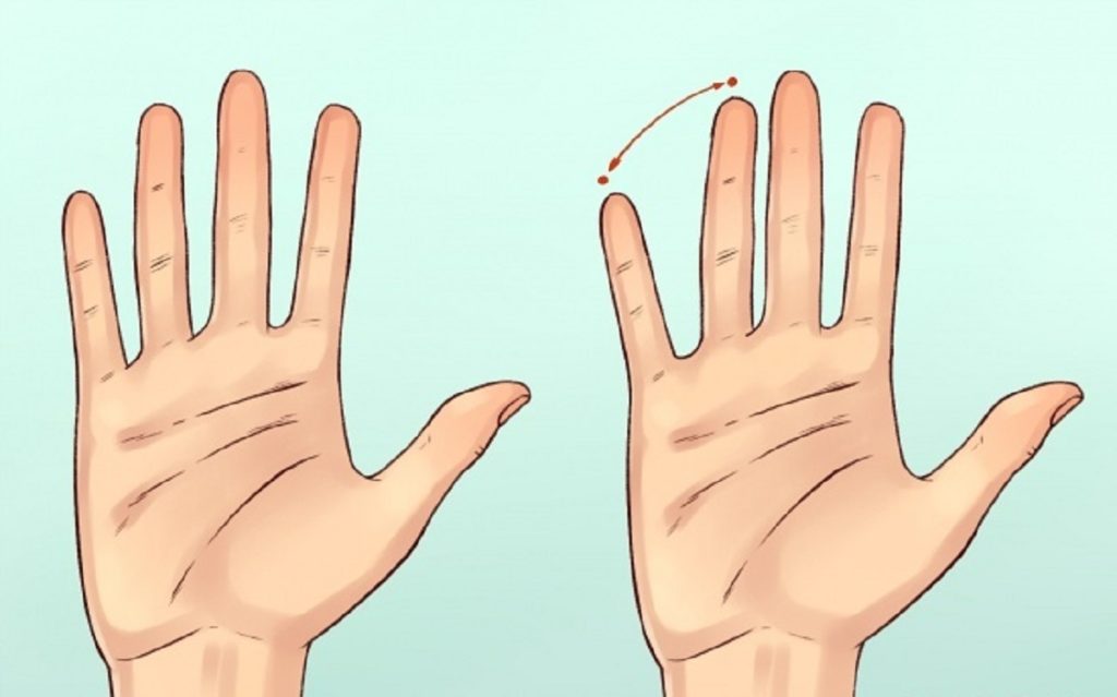 как узнать характер человека по форме ладони