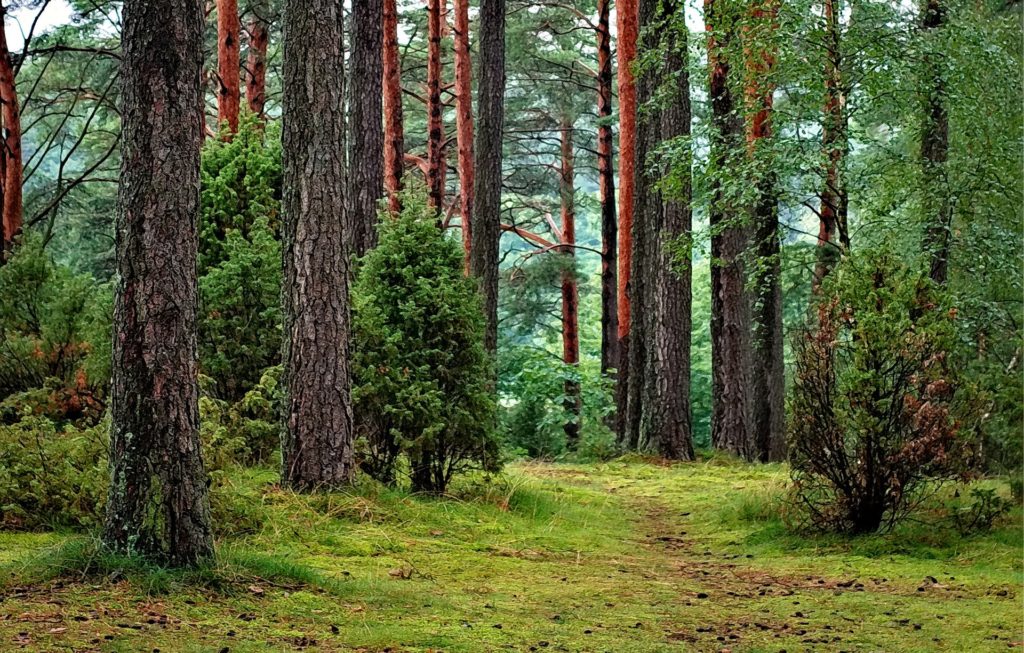 Как сделать перерыв в работе