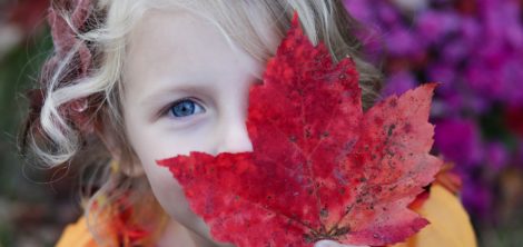 домашние правила для детей