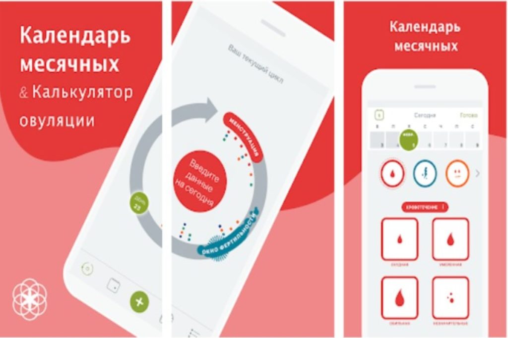 Как менструальный цикл влияет на внешность
