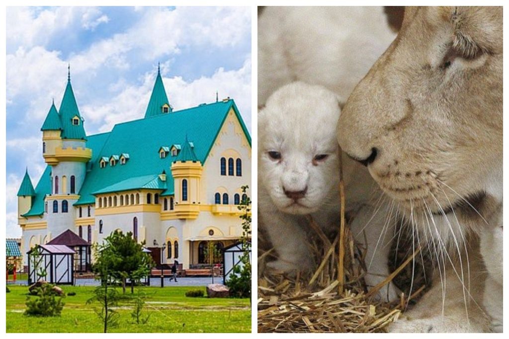 Как провести майские праздники в городе 